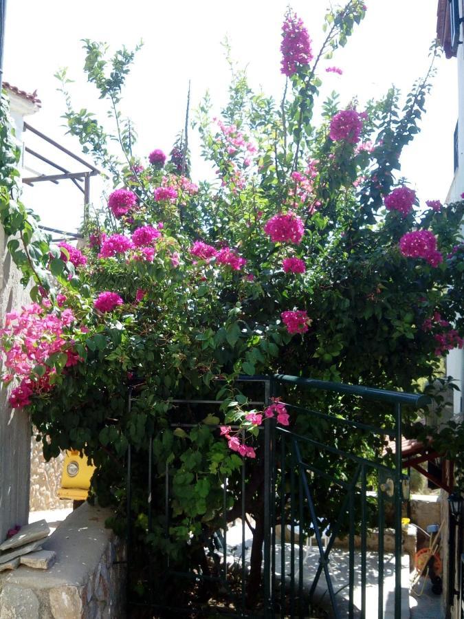 Agistri Sophia'S Apartment Скала Екстер'єр фото